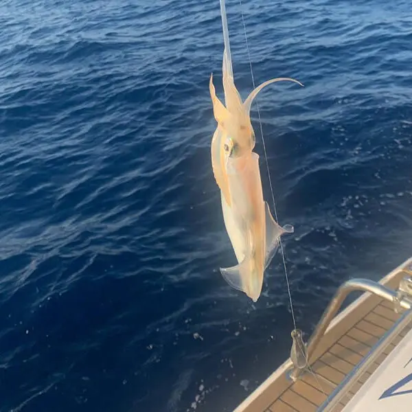 Día de Pesca en el LLAÜT