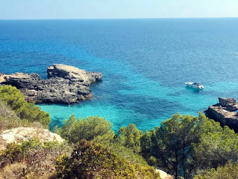 RUTA CALAS N°1 en el LLAÜT - Medio día o Día completo | Desde Cala Figuera a Cala Marmols - Imagen 5