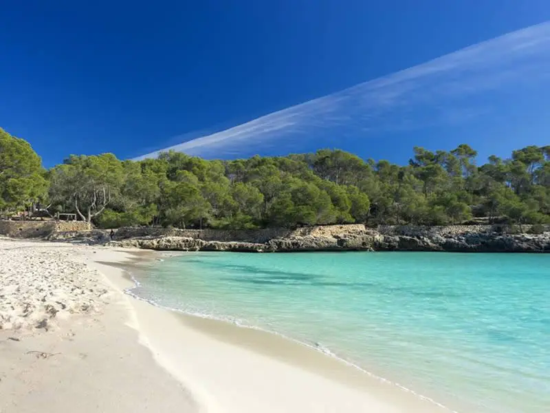 RUTA CALAS N°2 en el LLAÜT - Medio día o Día completo | Desde Cala Figuera a Cala Sanau - Imagen 6