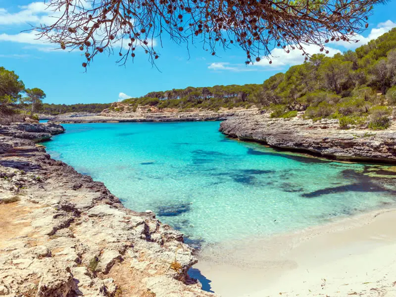 RUTA CALAS N°2 en el LLAÜT - Medio día o Día completo | Desde Cala Figuera a Cala Sanau - Imagen 4