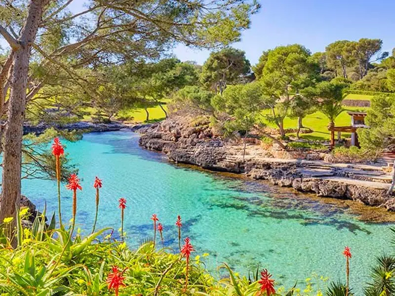 RUTA CALAS N°2 en el LLAÜT - Medio día o Día completo | Desde Cala Figuera a Cala Sanau - Imagen 3