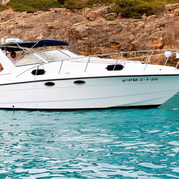 OCEAN Medio día o Día completo