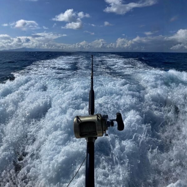Día de Pesca en el LLAÜT