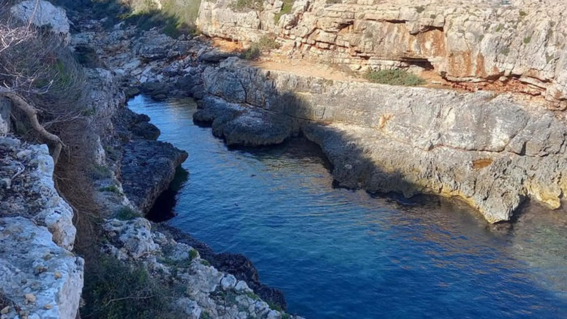 Excursión Remo a Remo - Imagen 7
