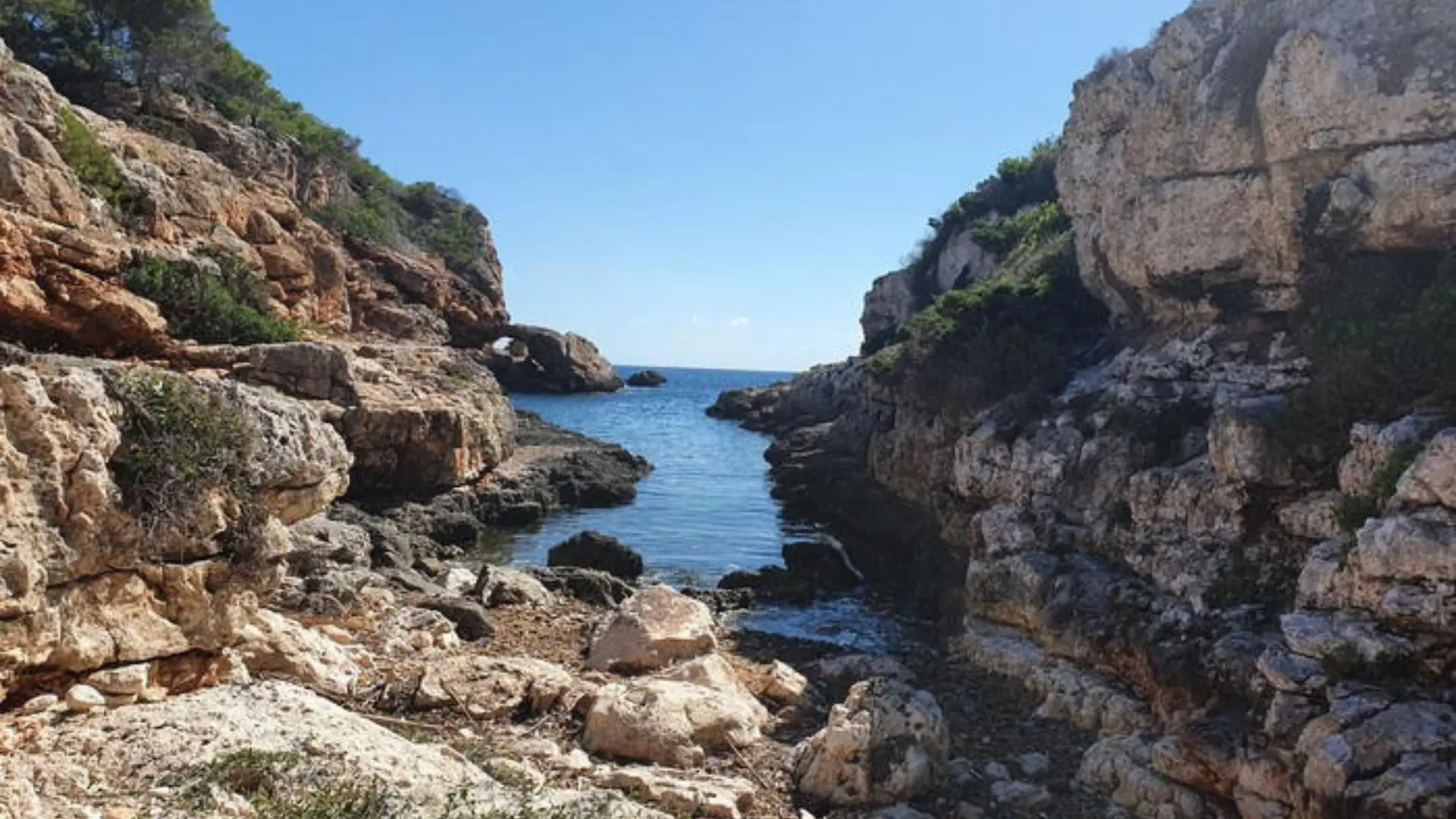 Excursión Remo a Remo - Imagen 6